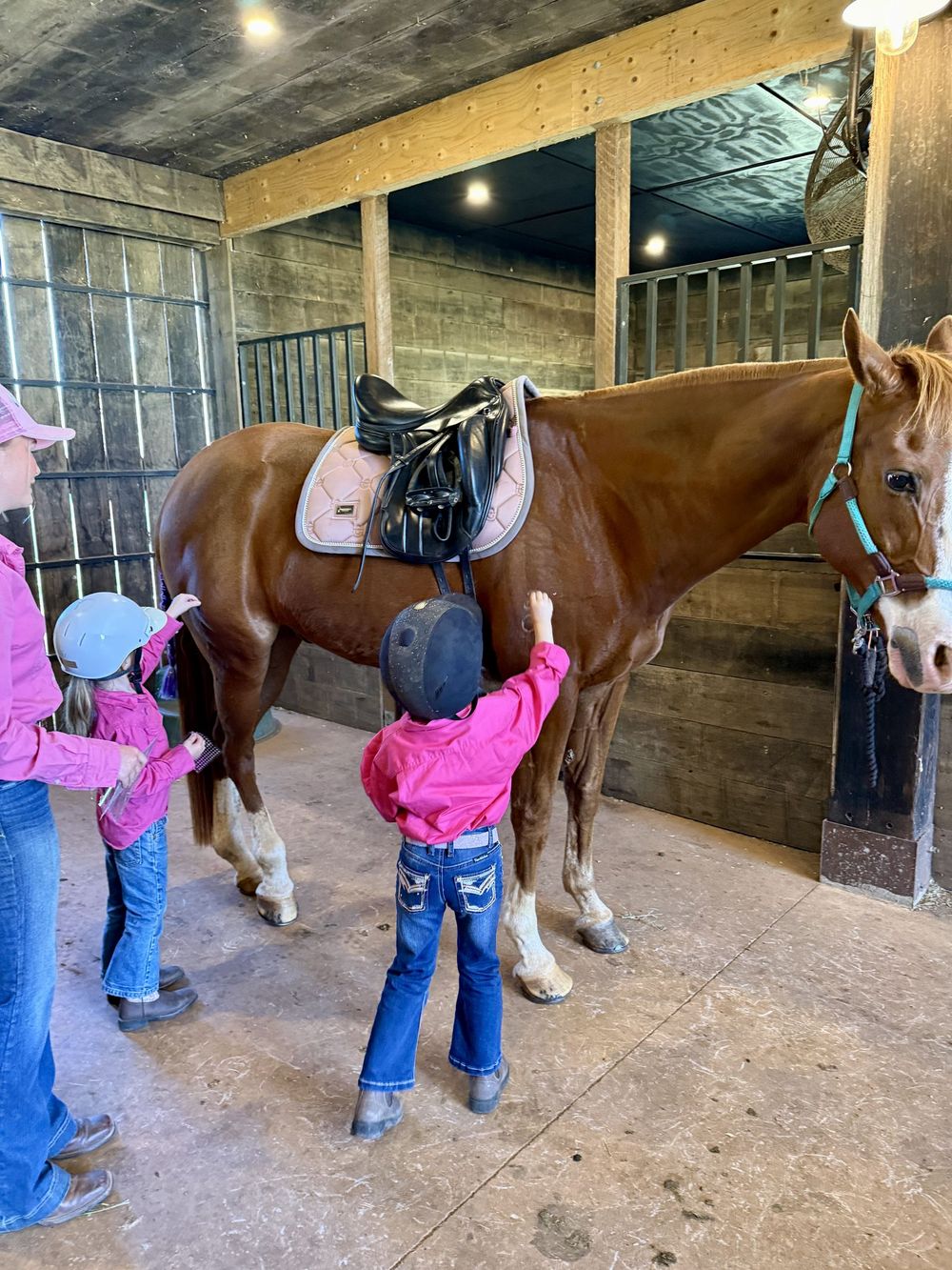 Children grooming a horse in the barn