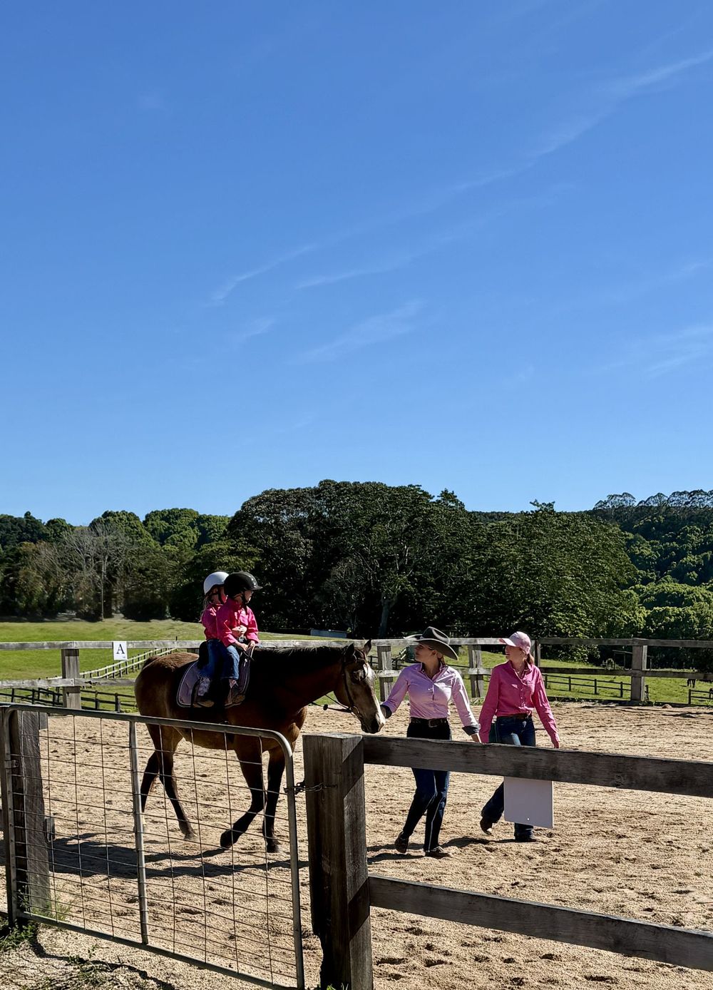 Two children on a horse at the arena gate
